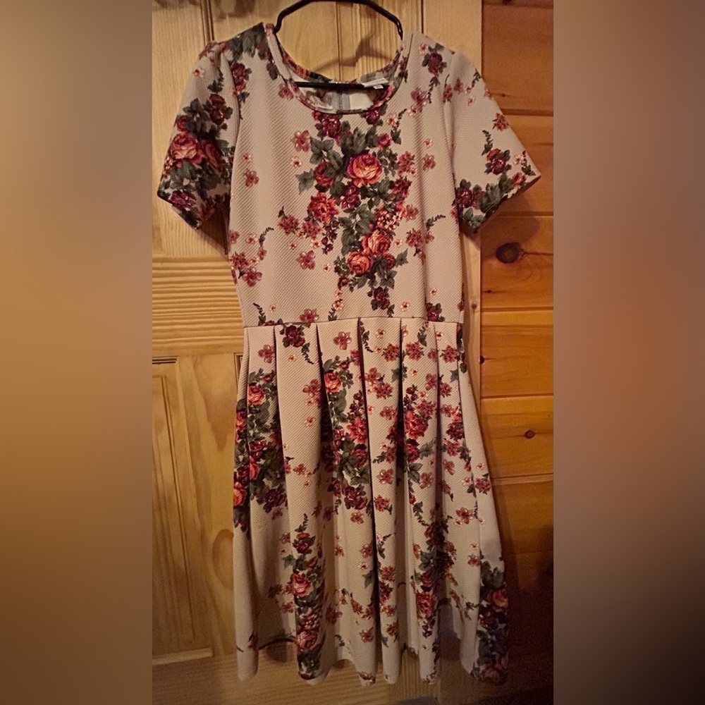 Lularoe Amelia size L